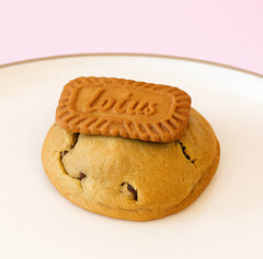 Biscoff Cookie with Biscoff cream filling